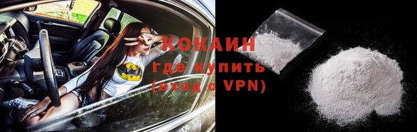 твердый Осташков