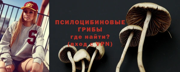 твердый Осташков