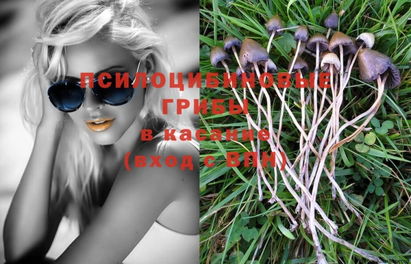 твердый Осташков