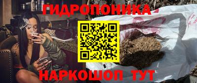 бошки Жуковский