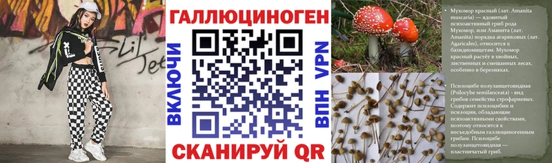 где продают   Нижний Новгород  Галлюциногенные грибы GOLDEN TEACHER 