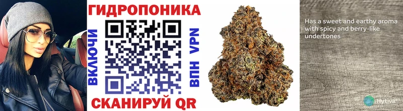 Канабис ГИДРОПОН  Нижний Новгород 